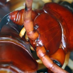 Knife Party Centipede DEETOX Drum & Bass Bootleg [FREE DOWNLOAD]