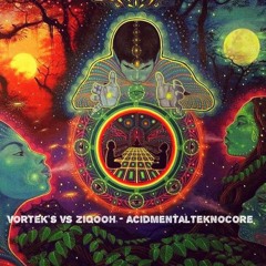Vortek's Vs Ziqooh - Acidmentalteknocore