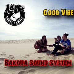 LNP Roots Family - Dubplates Bakoua Sound System