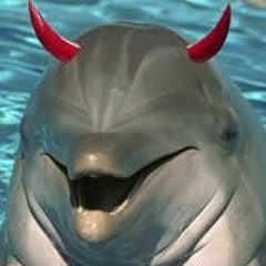 Dominik Eulberg - Islandmusche