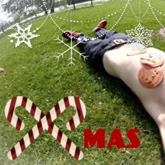 Sunflo'er Xmas Album