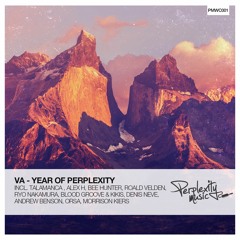 Perplexity Music Showcase #011 - Orsa - A Year Of Perplexity