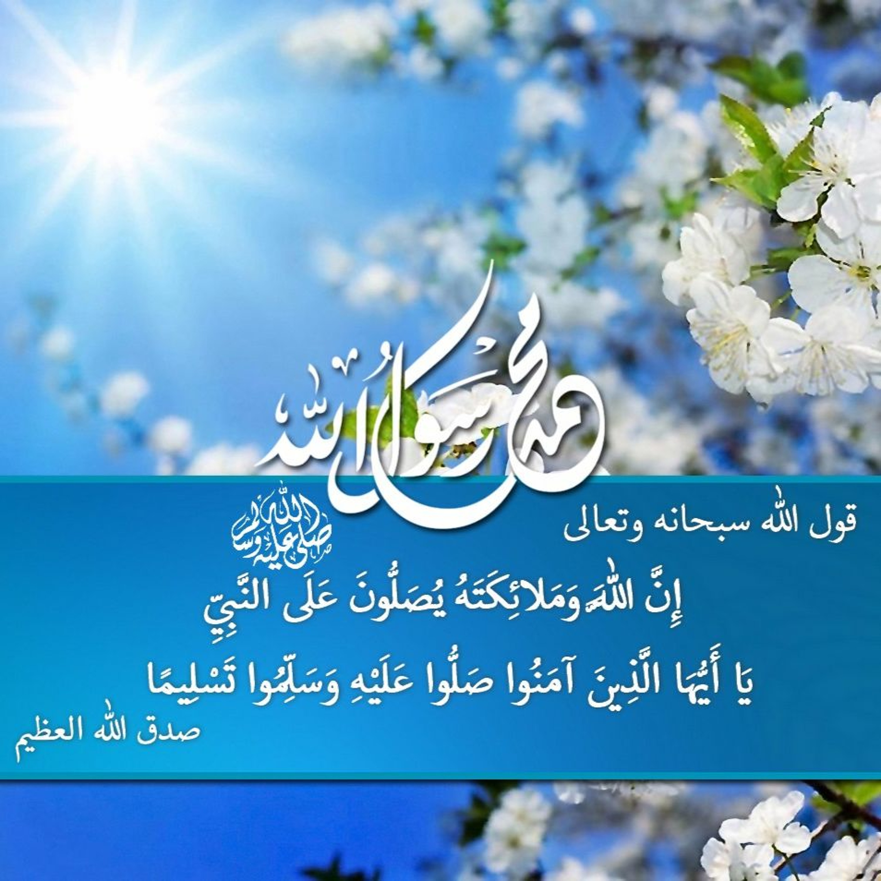 newmohamedamine