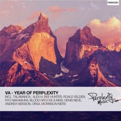 A Year Of Perplexity | Perplexity Music Showcase #011 - Orsa Mix