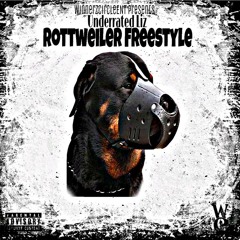 ROTTWEILER Freestyle