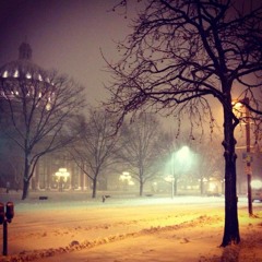 1m01 Winter Forest("Snowman")