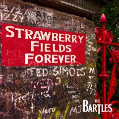 Strawberry Fields Forever (The Beatles Cover)