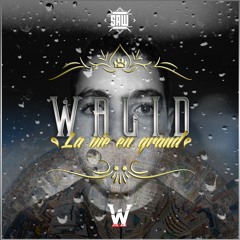 Walid - La Vie En Grand (Prod. By Double X)