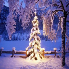 KidReed - White Chirstmas(inst.)