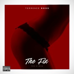 Tee K RØŚŚ The Fix