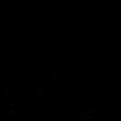 sc6 - who said (limited edition)