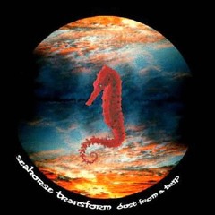 Seahorse Transform - Dajaja Dub