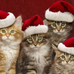 I'll Be Home For Christmas - Sarah And Sherman