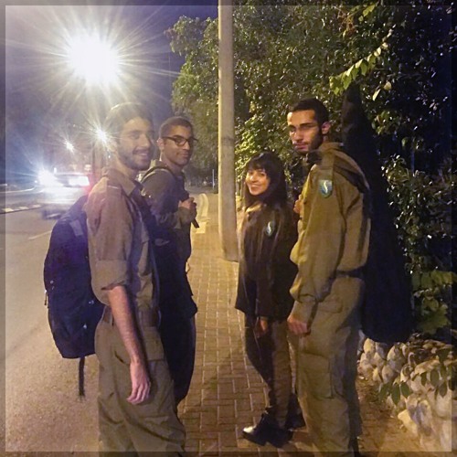 עץ ירוק מפלסטיק - ליאור אלון ודוד יוסף בן טובים
