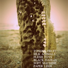 The Man who Falls out of The Sky