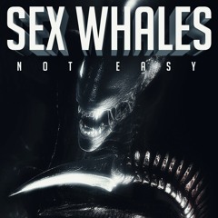 Sex Whales - Not Easy