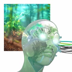 HERBARIUM - РИЗОМА (FREE DL)