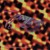 Artwork for Mark Riva's Metagrooves - The Silent Mix