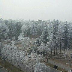 عشق ممنوع مسعود جلیلیان