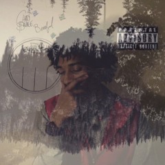 Chad $avage - Beneful (Prod. By TheePharoah)