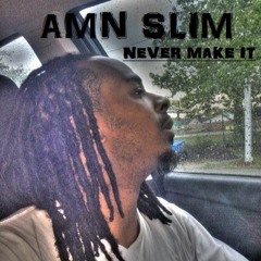 NEVER MAKE IT ( A.M.N SLIM )