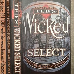 Uncle Ted's - Wicked Select (Of A Progressive Nature)Side 1 1996