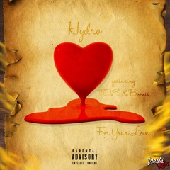Hydro Feat. T.O.E. & Boonie - For Your Love