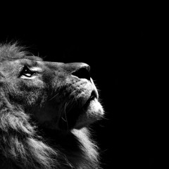 The Lion  - (Heart)