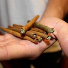 SPIT ROMNEY & Columbo Coulda Killed You - Flamboyant