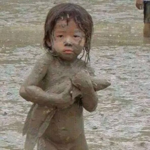 An IT student? how to do well in school?