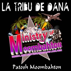 Ministry Of Moombahton - La Tribu De Dana (Dans La Vallée)