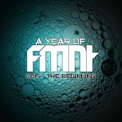 A Year Of FMNT: 2015 - The Beginning