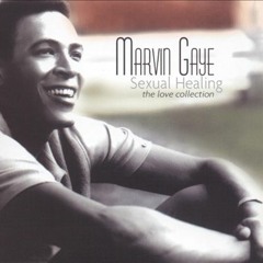 Sexual healing remix by Mista HARRIS