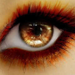 Mr Joseph - No Surprise