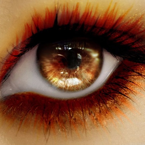 Mr Joseph - No Surprise