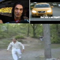 Laserfågelskogs-turken