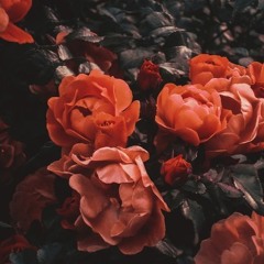 helios – a mountain of ice