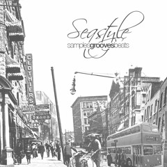 Seqstyle - Just The Way It Is