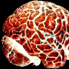 ~THIS is YOUR BRAIN on DRUGS~