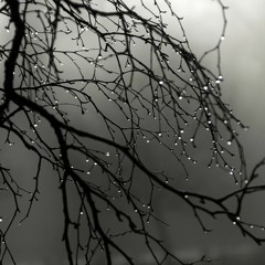 This is why I use Soundcloud...