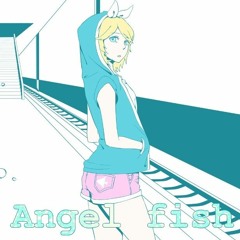 エンゼルフィッシュ  【NaShiHoy】