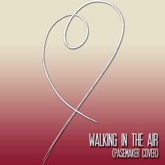 Walking in the Air (Pasemaker Cover)