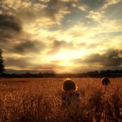 Capture In The Sky(sample)