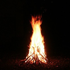 Dark Rainbow Forest With Cory Wulf