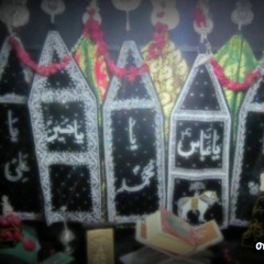 KASH ABBAS A.S NA MAREY JATEY BEAUTIFUL NOHA LIVE