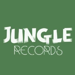 **OVERALL RELEASES AND PROMOS OF JUNGLE RECORDS & DIVISIONS**