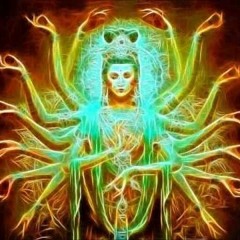 Shankara Project - Chords Of Life 2016