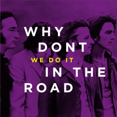 Why Dont We Do It In The Road - Remix