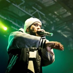 Palestine Aka Ledr P - Play No Games