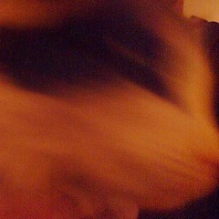 How To Disappear Completely